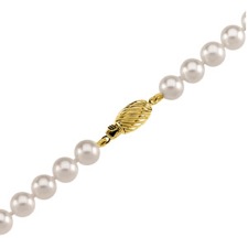pearl strand with gold clasp